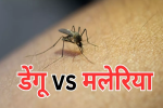 क्या किसी व्यक्ति को एक साथ हो सकता है डेंगू और मलेरिया? जानें एक्सपर्ट की राय